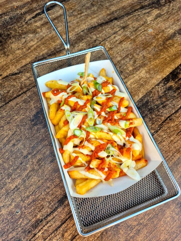 Spanish loaded fries